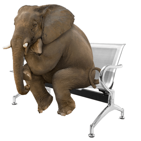 Best Quality Visiting Chair in India Best Quality Visiting Chair in India